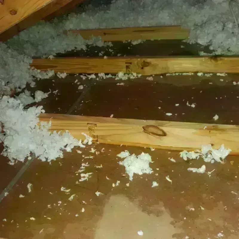 Attic Water Damage in Columbus, MN