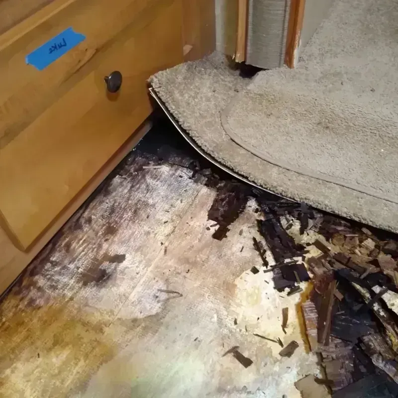 Wood Floor Water Damage in Columbus, MN